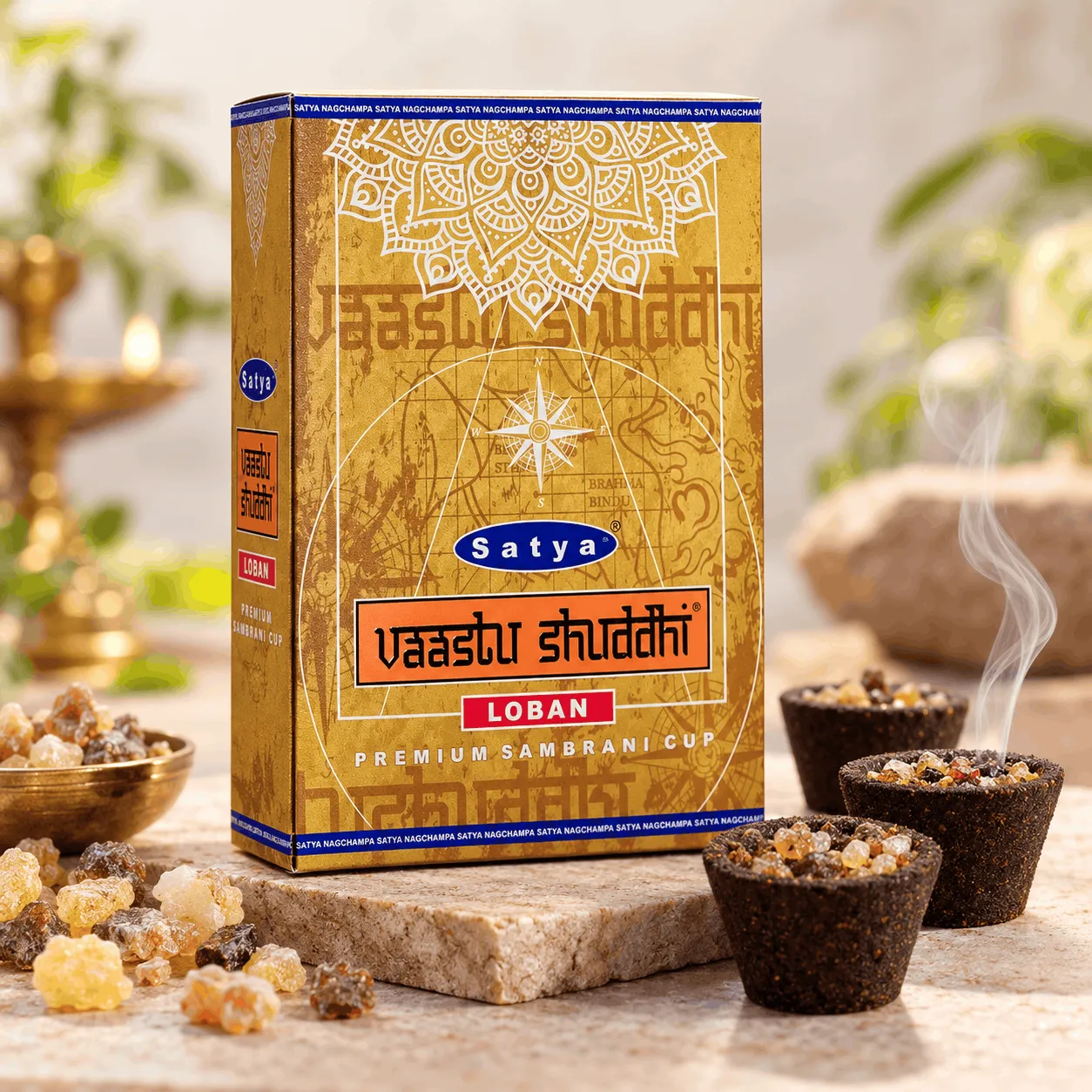 vastu Shuddhi (Loban) - Premium Sambrani Cup Satya at Kokanvedh Sangameshwar